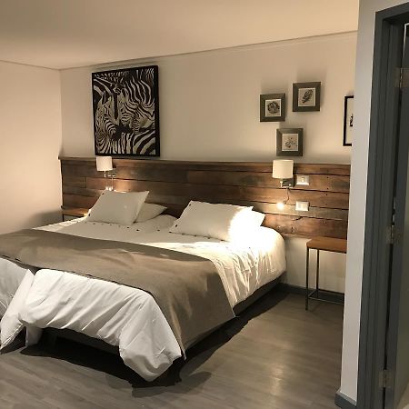 Fresia Suite Пукон Экстерьер фото